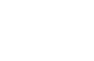 Ferri Eventi Online